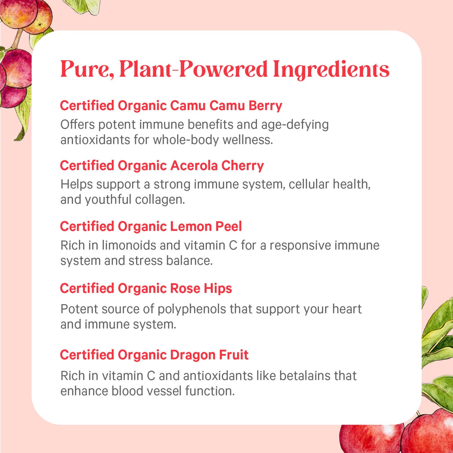 PURE SYNERGY Pure Radiance C | Organic Vitamin C Capsules | 100% Natural, Whole Food, Non-GMO Supplement with Organic Camu Camu | for Immune and Collagen Support (90 Capsules)